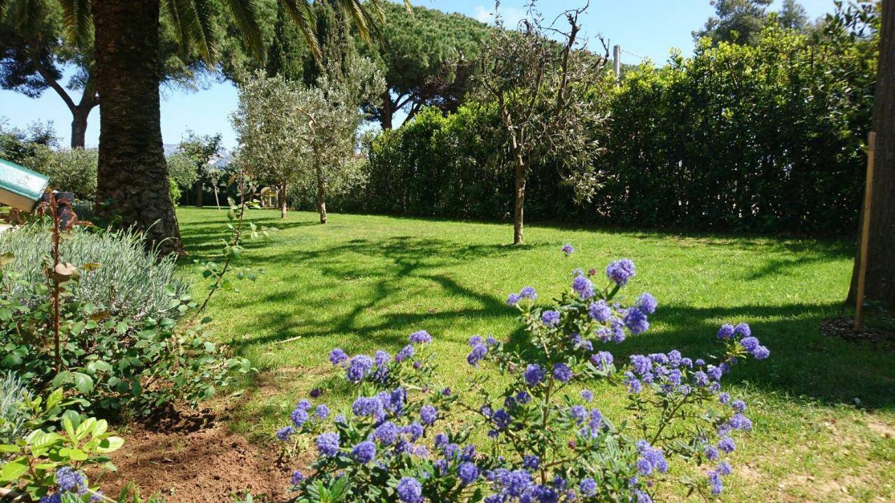 La Stanza Del Podere Isabella Hotel ซานวินเชนโซ ภายนอก รูปภาพ