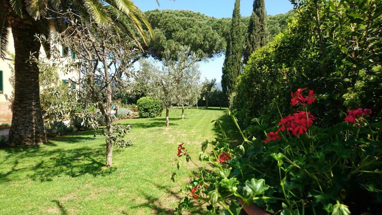 La Stanza Del Podere Isabella Hotel ซานวินเชนโซ ภายนอก รูปภาพ